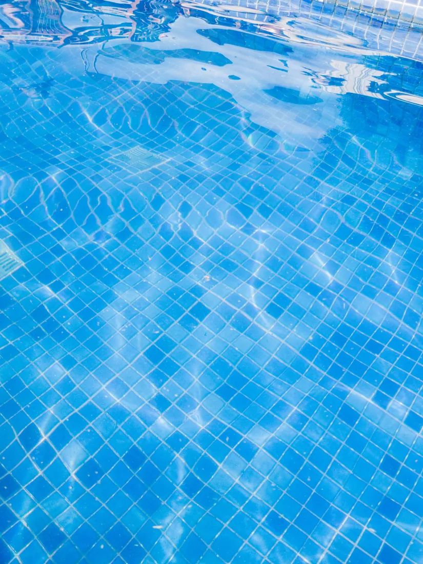 Green, Mustard & Black Pool Algae: What Is the Difference?